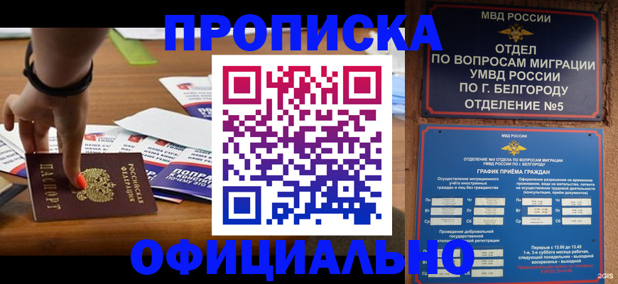 прописка паспорт в Саранске